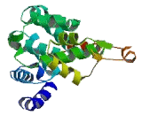 Eukaryotic Translation Initiation Factor 3K (EIF3K)