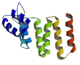 Eukaryotic Translation Initiation Factor 3L (EIF3L)