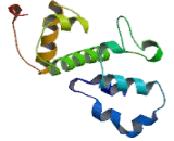 Eukaryotic Translation Initiation Factor 3M (EIF3M)