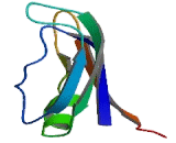 Eukaryotic Translation Initiation Factor 4B (EIF4B)