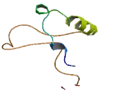 Eukaryotic Translation Initiation Factor 4E Binding Protein 3 (EIF4EBP3)