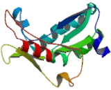 Eukaryotic Translation Initiation Factor 4E Transporter (EIF4ENIF1)