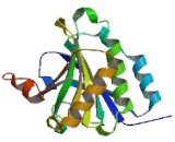 Eukaryotic Translation Initiation Factor 4E1B (EIF4E1B)