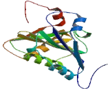 Eukaryotic Translation Initiation Factor 4E2 (EIF4E2)