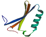 Eukaryotic Translation Initiation Factor 4E3 (EIF4E3)