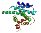 Eukaryotic Translation Initiation Factor 4G2 (EIF4G2)