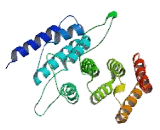 Eukaryotic Translation Initiation Factor 4G3 (EIF4G3)