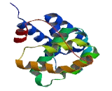 Eukaryotic Translation Initiation Factor 5 (EIF5)