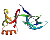 Eukaryotic Translation Initiation Factor 5A (EIF5A)