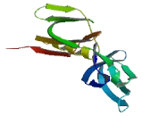 Eukaryotic Translation Initiation Factor 5A Like Protein 1 (EIF5AL1)