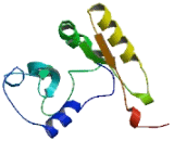 Eukaryotic Translation Initiation Factor 5B (EIF5B)