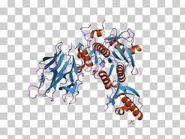 Evolocumab (EVC)