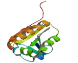 Excision Repair Cross Complementing Rodent Repair Deficiency Complementation 1 (ERCC1)