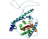 Excitatory Amino Acid Transporter 1 (EAAT1)