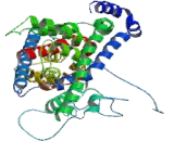 Excitatory Amino Acid Transporter 4 (EAAT4)