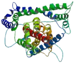 Excitatory Amino Acid Transporter 5 (EAAT5)