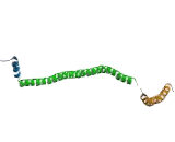 Exocyst Complex Component 1 (EXOC1)