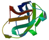 Exocyst Complex Component 2 (EXOC2)