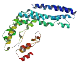 Exocyst Complex Component 3 (EXOC3)