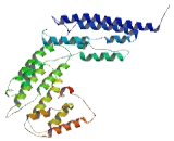 Exocyst Complex Component 3 Like Protein 4 (EXOC3L4)