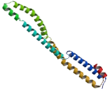 Exocyst Complex Component 4 (EXOC4)