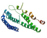 Exocyst Complex Component 5 (EXOC5)