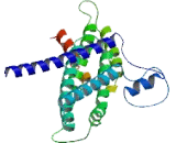 Exocyst Complex Component 6B (EXOC6B)