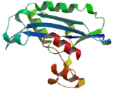 Exoribonuclease 3 (ERI3)