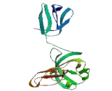 Exosome Component 1 (EXOSC1)