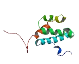 Exosome Component 10 (EXOSC10)