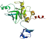 Exosome Component 2 (EXOSC2)