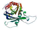 Exosome Component 6 (EXOSC6)