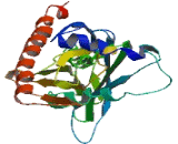 Exosome Component 8 (EXOSC8)