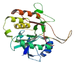 Exostoses Like Protein 3 (EXTL3)