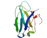 Extended Synaptotagmin Like Protein 1 (ESYT1)