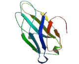 Extended Synaptotagmin Like Protein 3 (ESYT3)