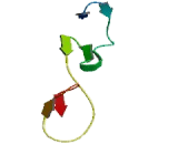 Extracellular Matrix Protein 2 (ECM2)