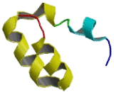 F-Box And Leucine Rich Repeat Protein 13 (FBXL13)