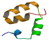 F-Box And Leucine Rich Repeat Protein 14 (FBXL14)