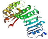 F-Box And Leucine Rich Repeat Protein 17 (FBXL17)