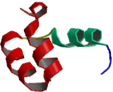 F-Box And Leucine Rich Repeat Protein 7 (FBXL7)