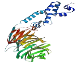 F-Box And WD Repeat Domain Containing Protein 11 (FBXW11)