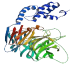 F-Box And WD Repeat Domain Containing Protein 8 (FBXW8)