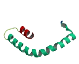 F-Box Protein 22 (FBXO22)