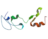 F-Box Protein 40 (FBXO40)