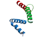 F-Box Protein 41 (FBXO41)