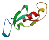 F-Box Protein 43 (FBXO43)