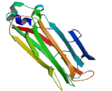 F-Box Protein 44 (FBXO44)