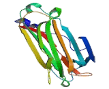 F-Box Protein 6 (FBXO6)