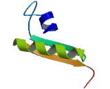 FAD Dependent Oxidoreductase Domain Containing Protein 2 (FOXRED2)